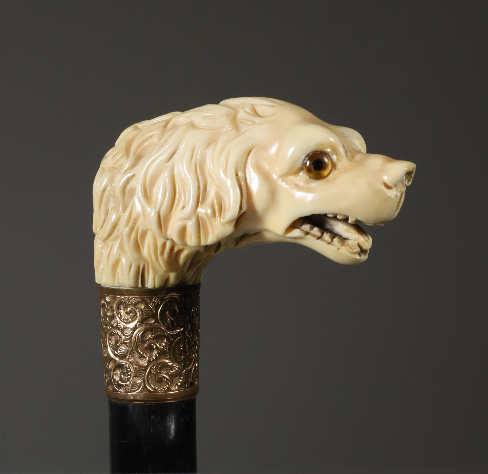 French Carved Glass Eyed Dog Head Cane, circa 1870: French Carved Glass Eyed Dog Head Cane, circa 1870, embossed brass collar on an ebony shaft. **This item is not available for international delivery.Length 36.75 in.Provenance: The Estate of Eddi Van 