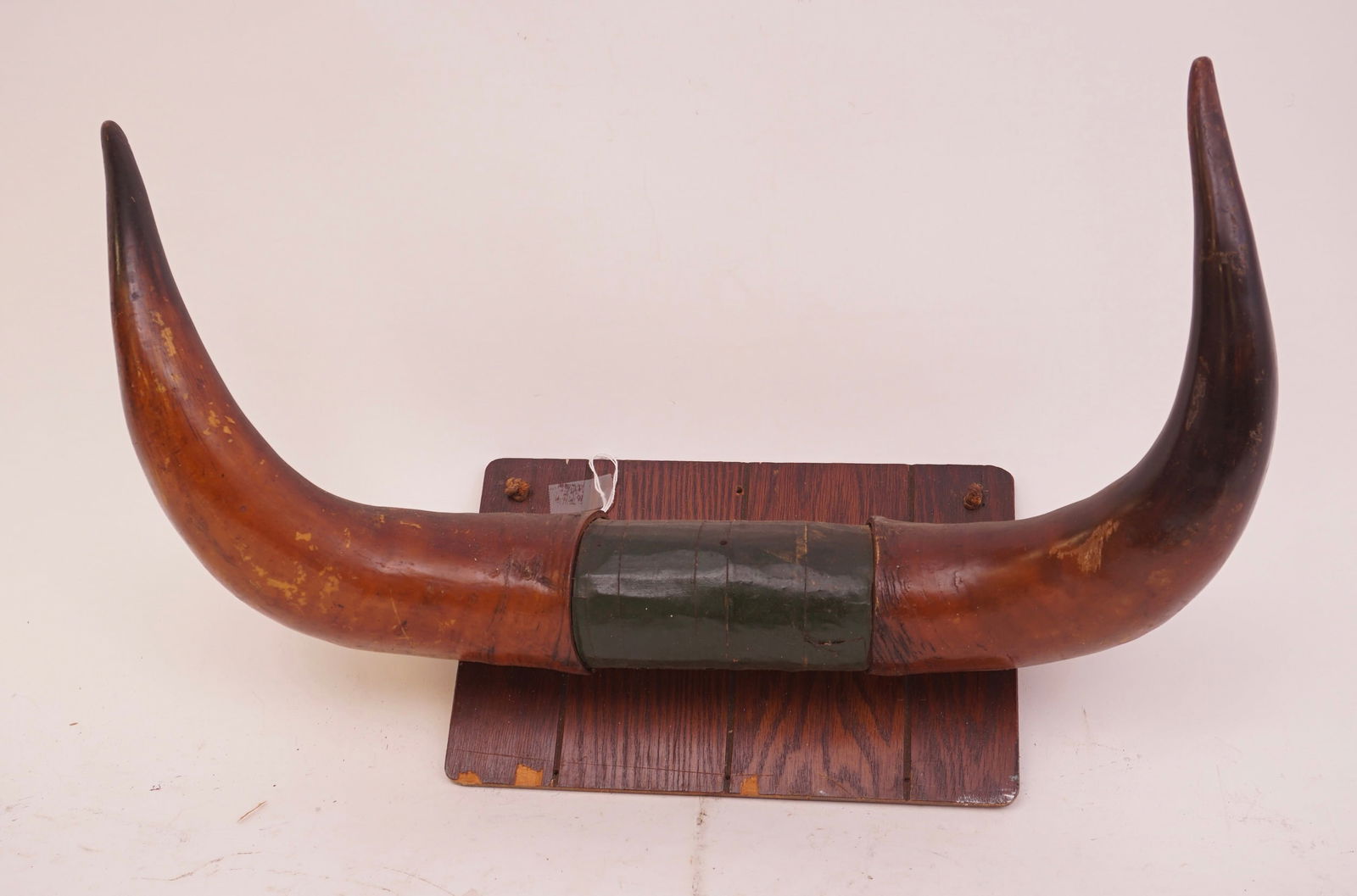 Pair of Bull Horns Decorative Wall Art (1 of 1)