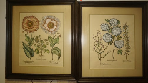 Pair of Botanical Prints