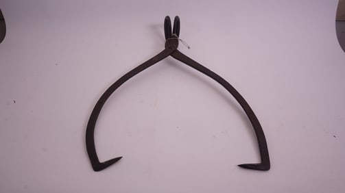 Primitive Ice Block Carrier