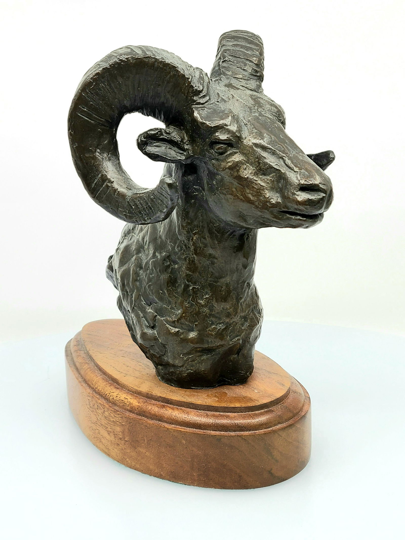 J. King Ram Head Bronze Sculpture (1 of 3)