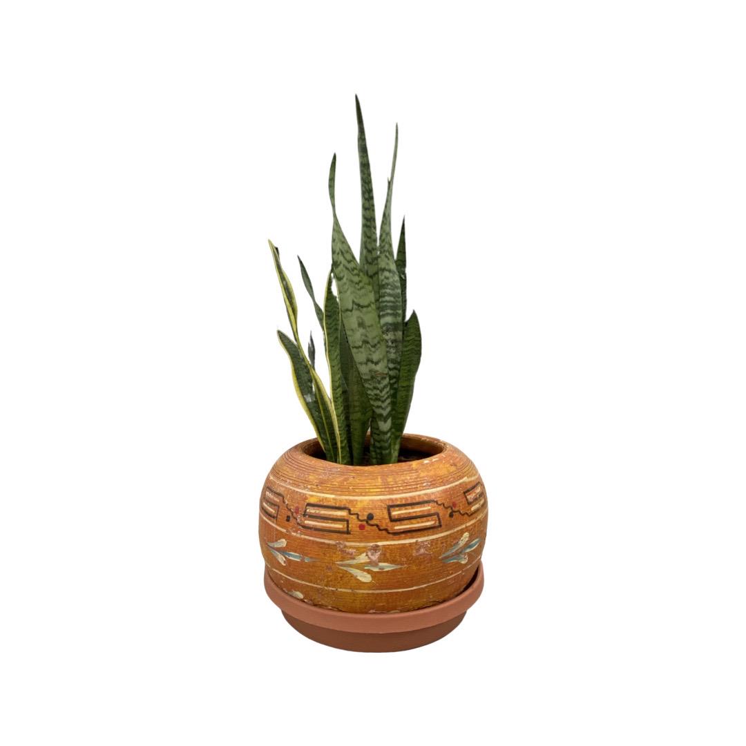 Hand Painted Mexican Flower Pot (1 of 1)