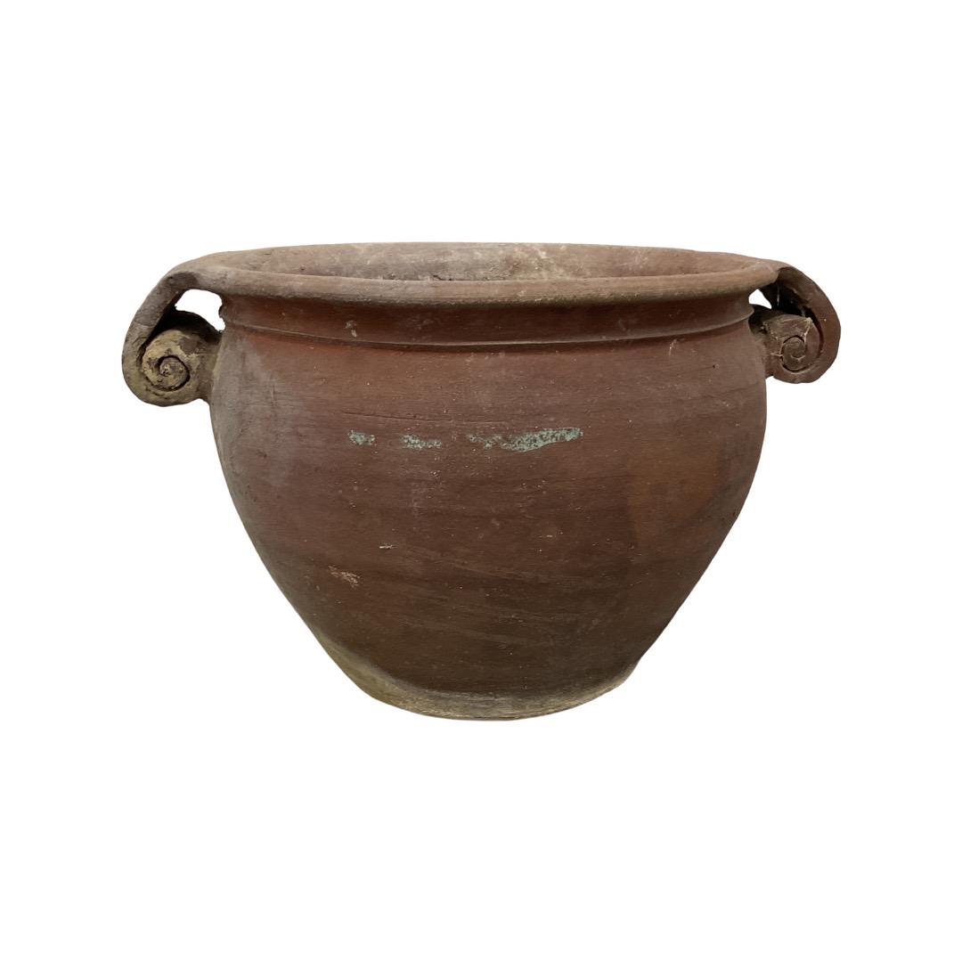 Clay Pot: 11 x 19 x 14