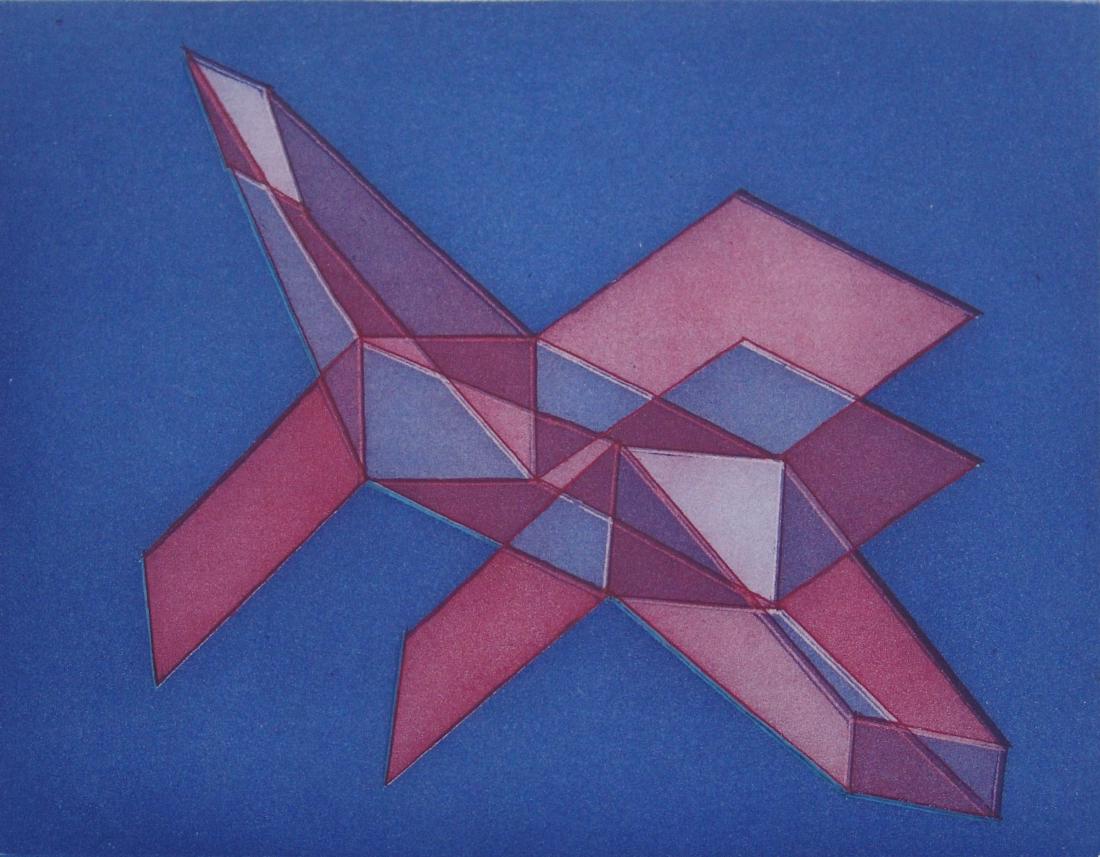 Achille Perilli 1927, Roma Rm - Italia Ippogrifo: acquaforte acquatinta 35x50 cm 1974 es. 80/100; firma dell’artista in basso a destra; opera con cornice certificato di autenticità Mikarte