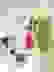 item-86258952=3