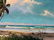 Sam Newton (1948) Florida Highwaymen - Seaside Palms - 4