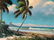 Sam Newton (1948) Florida Highwaymen - Seaside Palms - 5