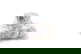 item-184557343=7
