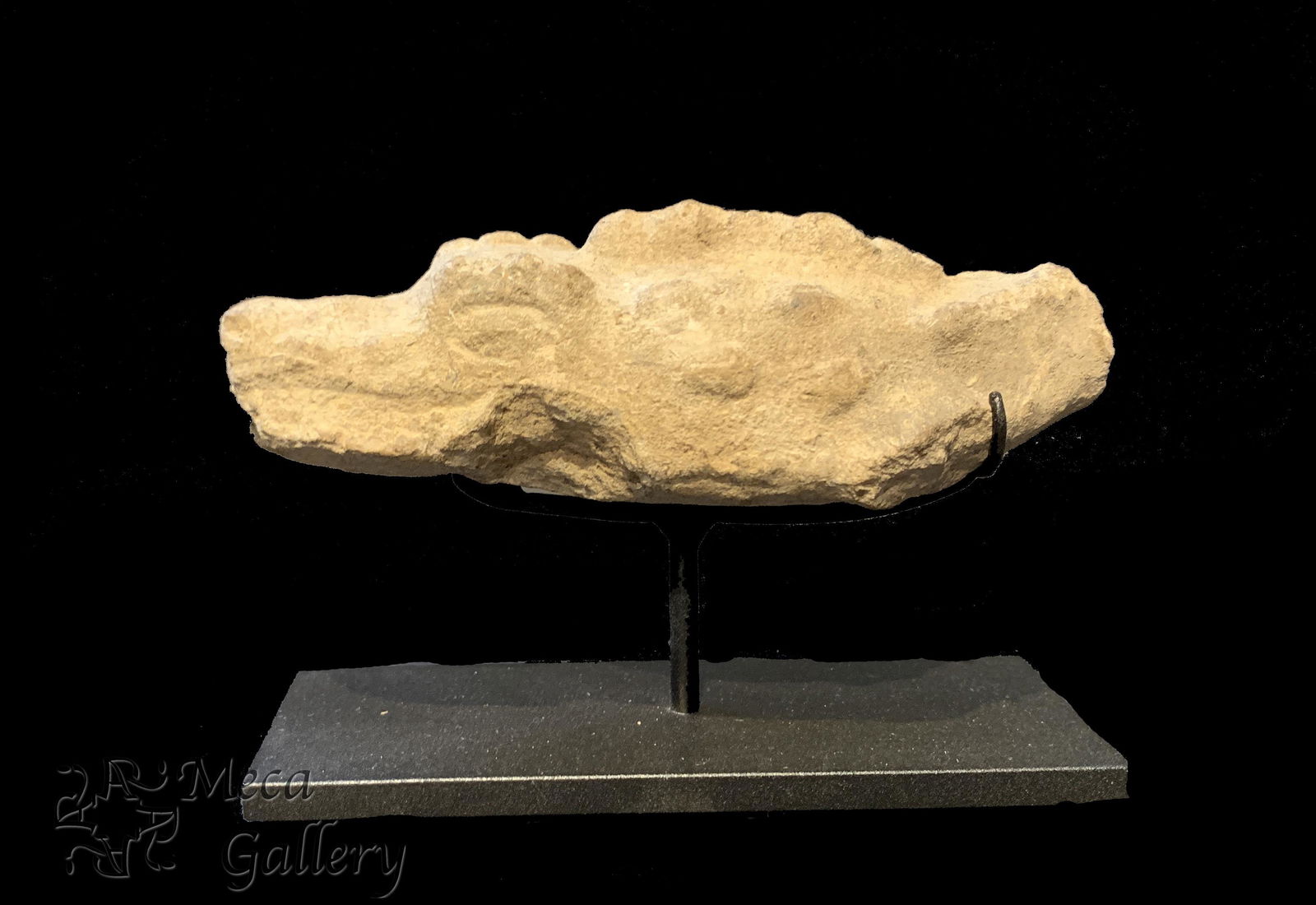 Mayan Crocodile Flute (600-800 AD) (1 of 7)