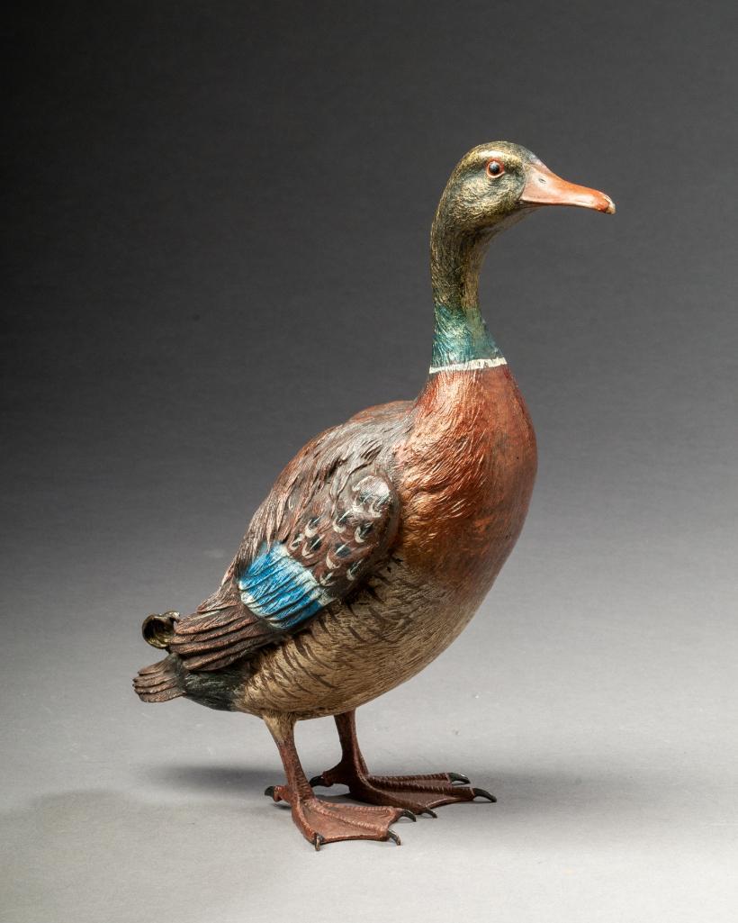 Vienna Bronze Cold Painted Mallard Drake.: Height 9 inches, unsigned.