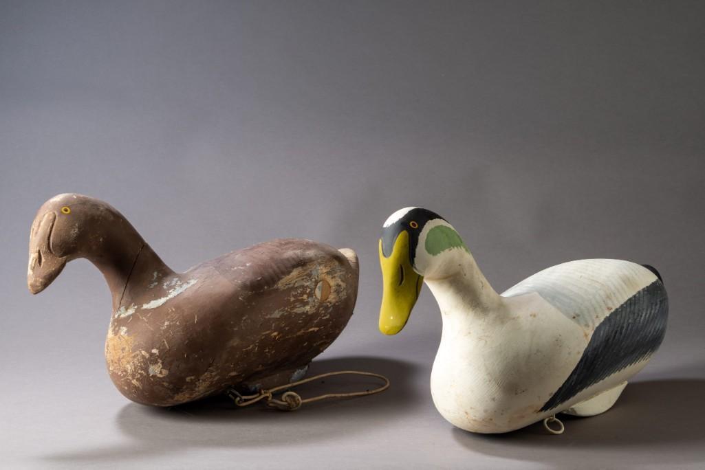 Harry Jobbs Eider Hen and Drake Decoys.: Lengths 20 and 21 inches. Made for Dr. John Dinan.