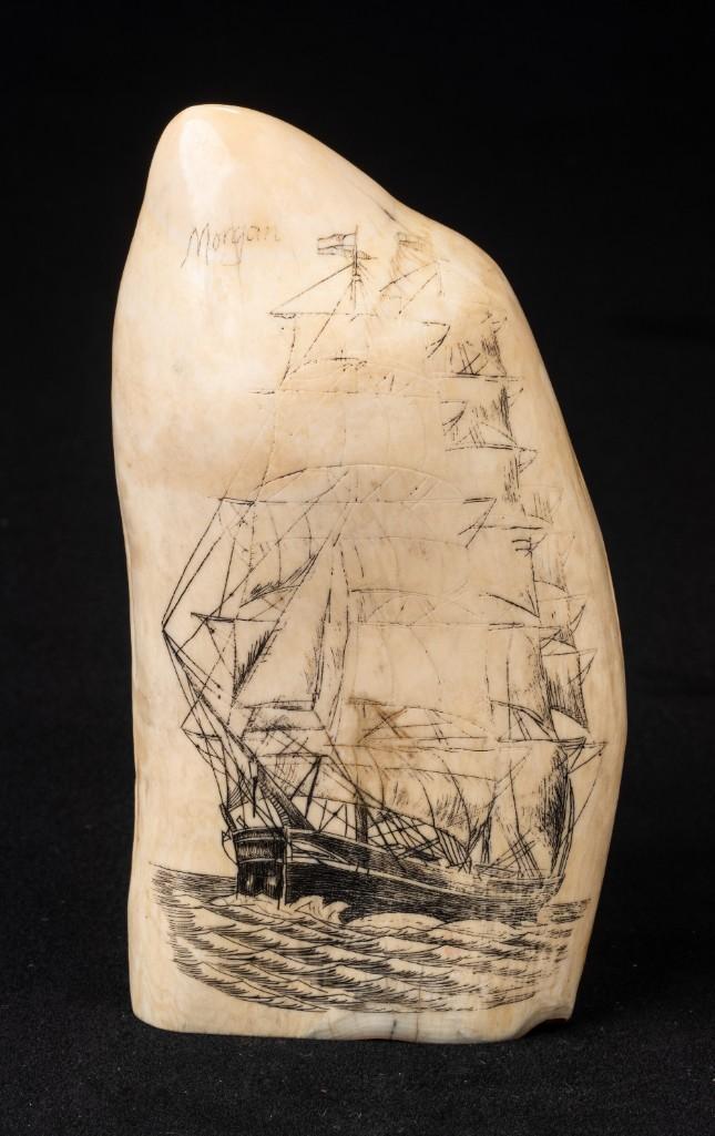 Scrimshawed Whales Tooth, Ship Morgan.: Height 5.5 inches. Losses to decoration.