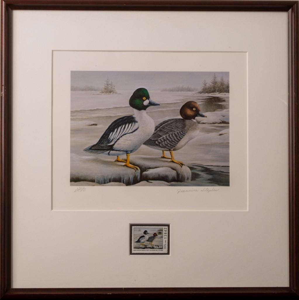 Eight Maine Duck Stamp Prints.: 1992 limited edition by Persis Clayton Weirs, unframed, in original portfolio. 1991, by Patricia Carter, unframed, in original portfolio. 1985, 1986, 1987, 1988, 1989, and 1993, all framed and pencil 