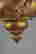 item-98754692=3