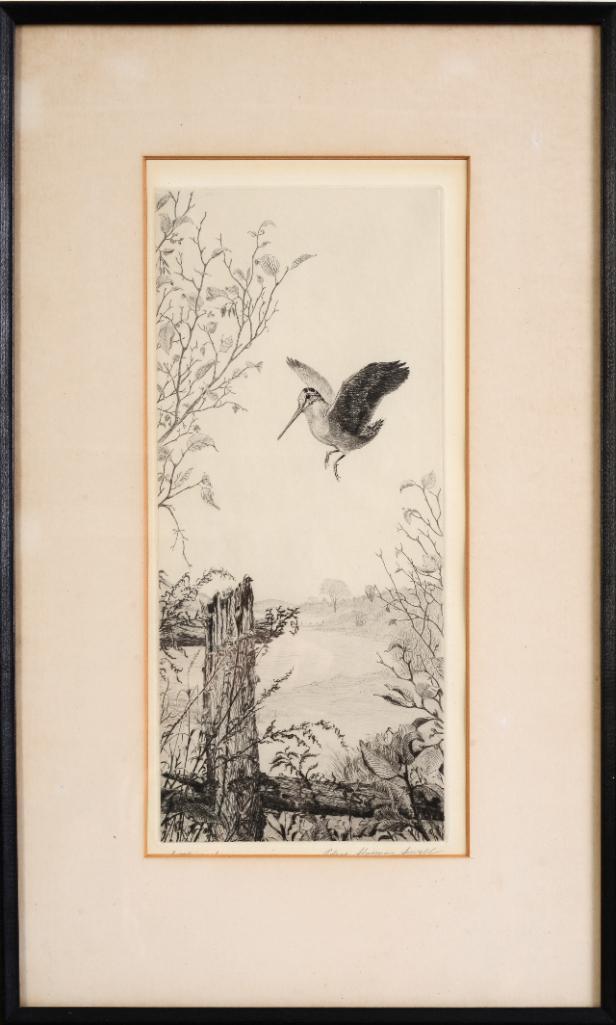 Etching of a Woodcock.: 14 by 6.5 inches, sight. Signed Edgar Sherman Sewall, lower right.
