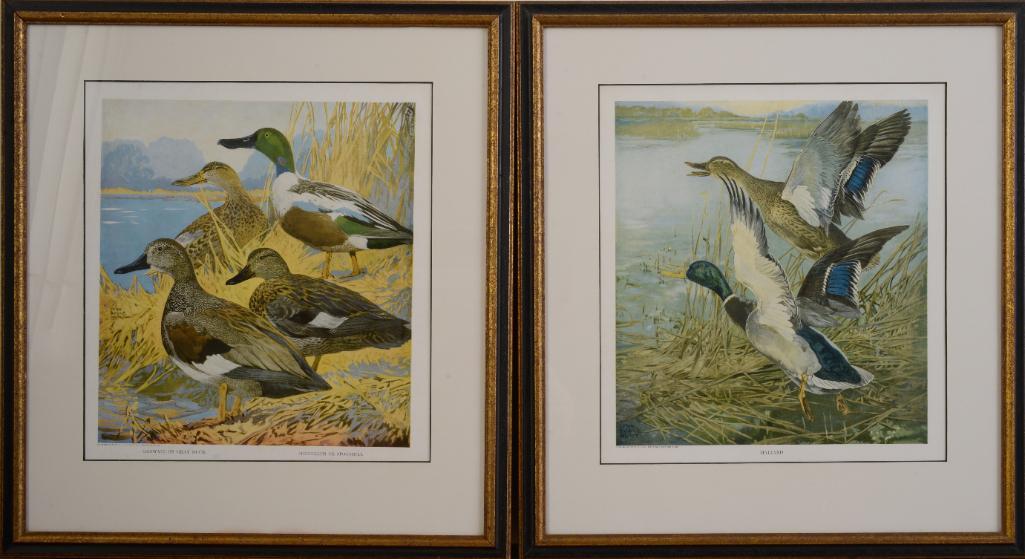 Large Collection of Lynn Bogue Hunt Prints. (1 of 5)