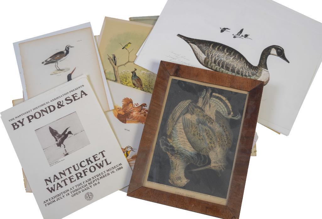 Large Collection of Sporting Prints. (1 of 16)