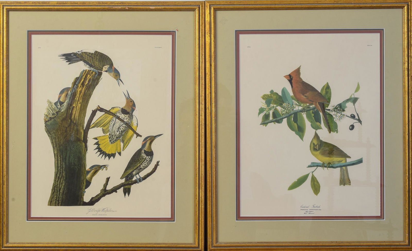 Two Reproduction Audubon Prints. (1 of 1)