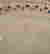 item-104962982=4