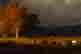 item-106317800=3