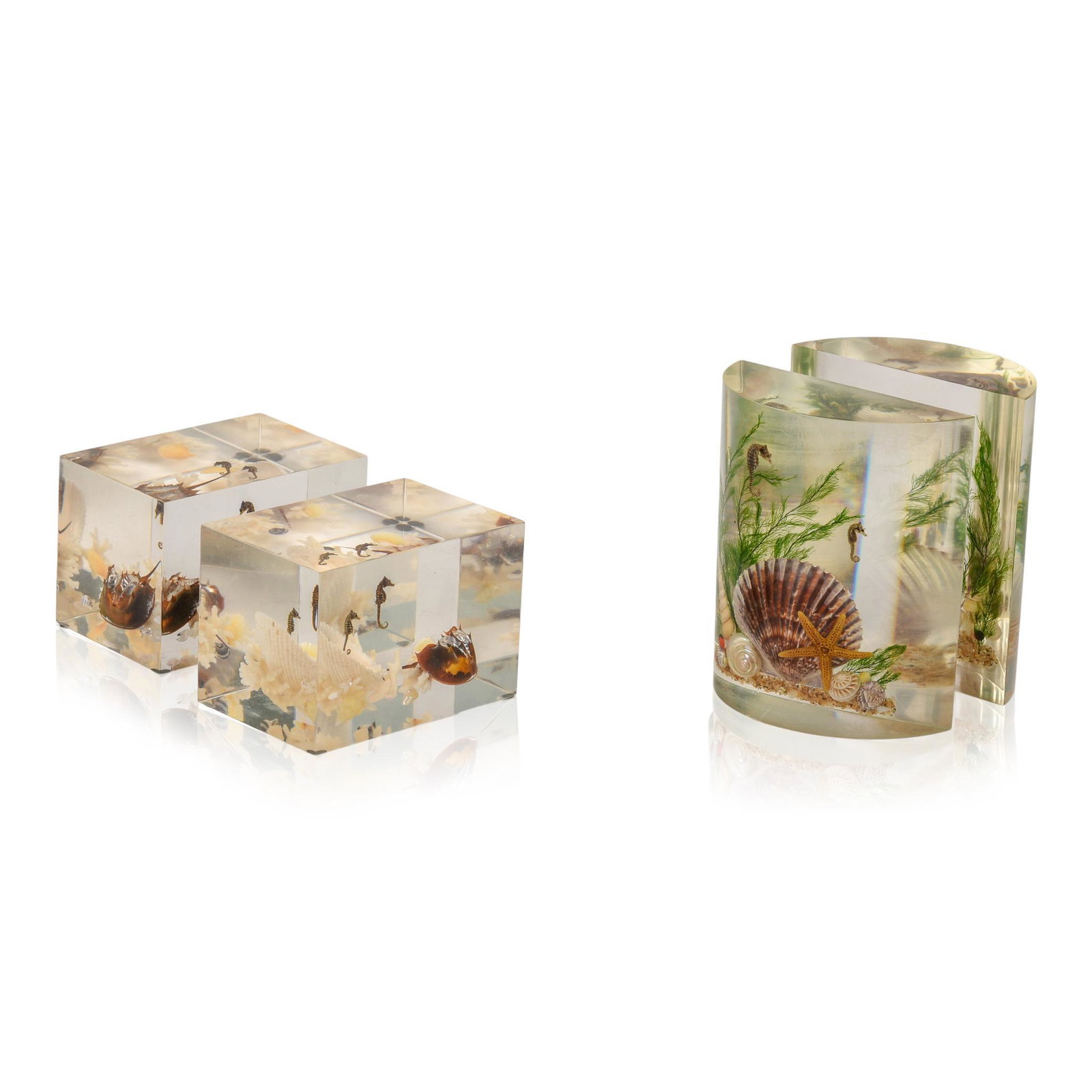 Two Pair of Vintage Acrylic Bookends with Sea Life: Heights 3 and 5.5 inches.
