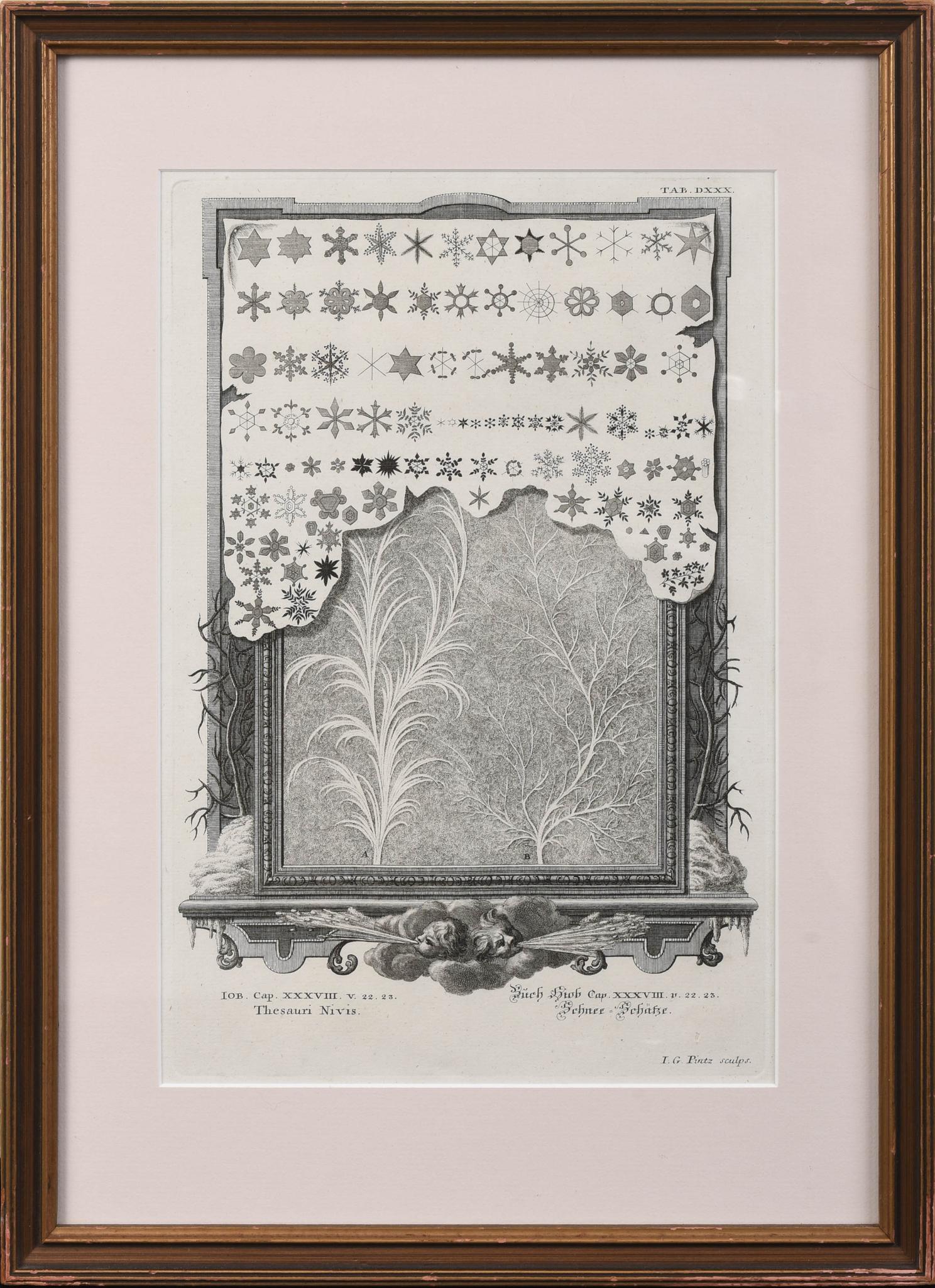 J.J. Scheuchzer. Physica, Sacra, 1731.: Engraving on laid paper, 12.5 x 8.25 inches, sight.