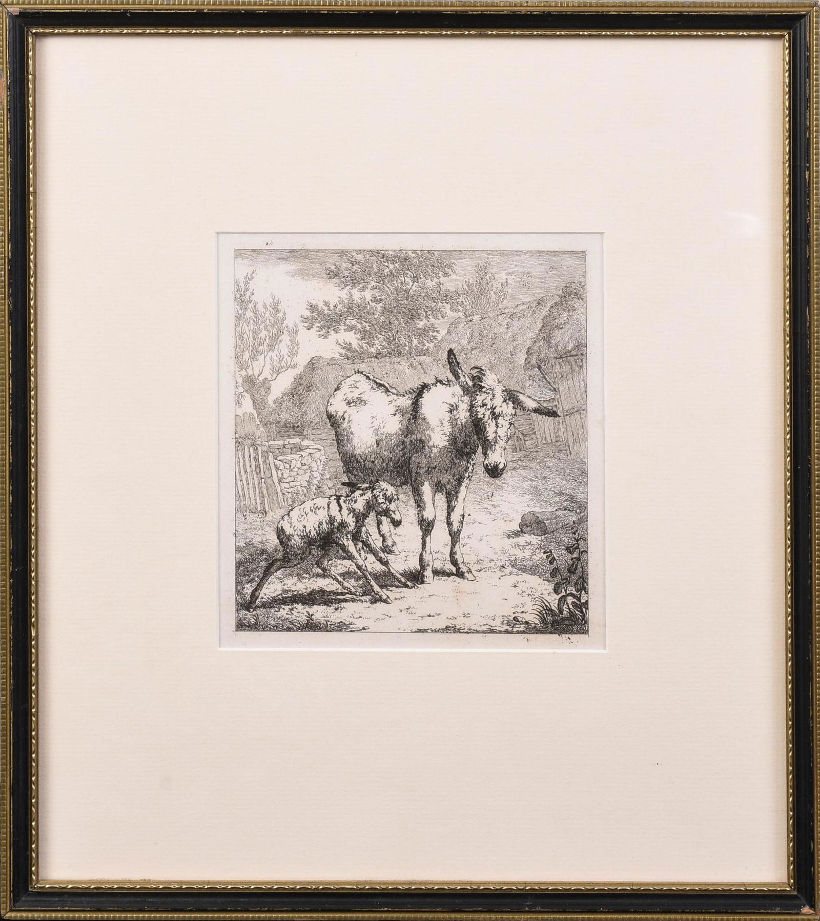 Robert Hills Etching of Donkey and Foal.: Circa 1790, image 5.75 x 5.25 inches.