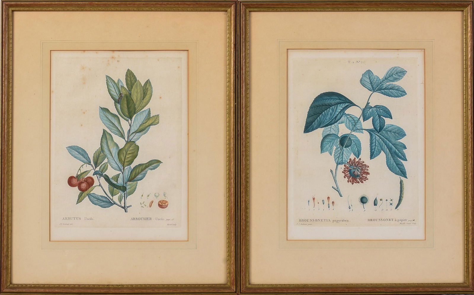 Two Floral Prints After Pierre-Joseph Redoute. (1 of 10)