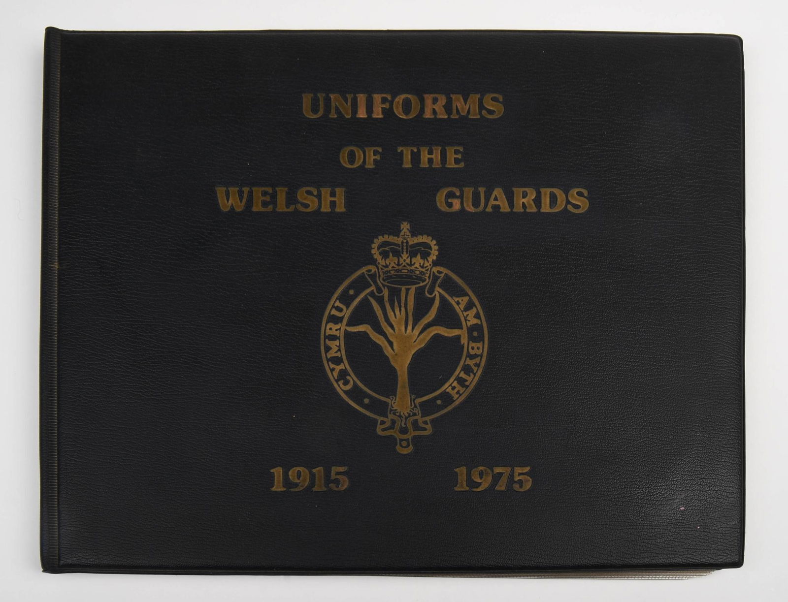 UNIFORMS OF THE WELSH GUARDS, 1915-1975. (1 of 3)
