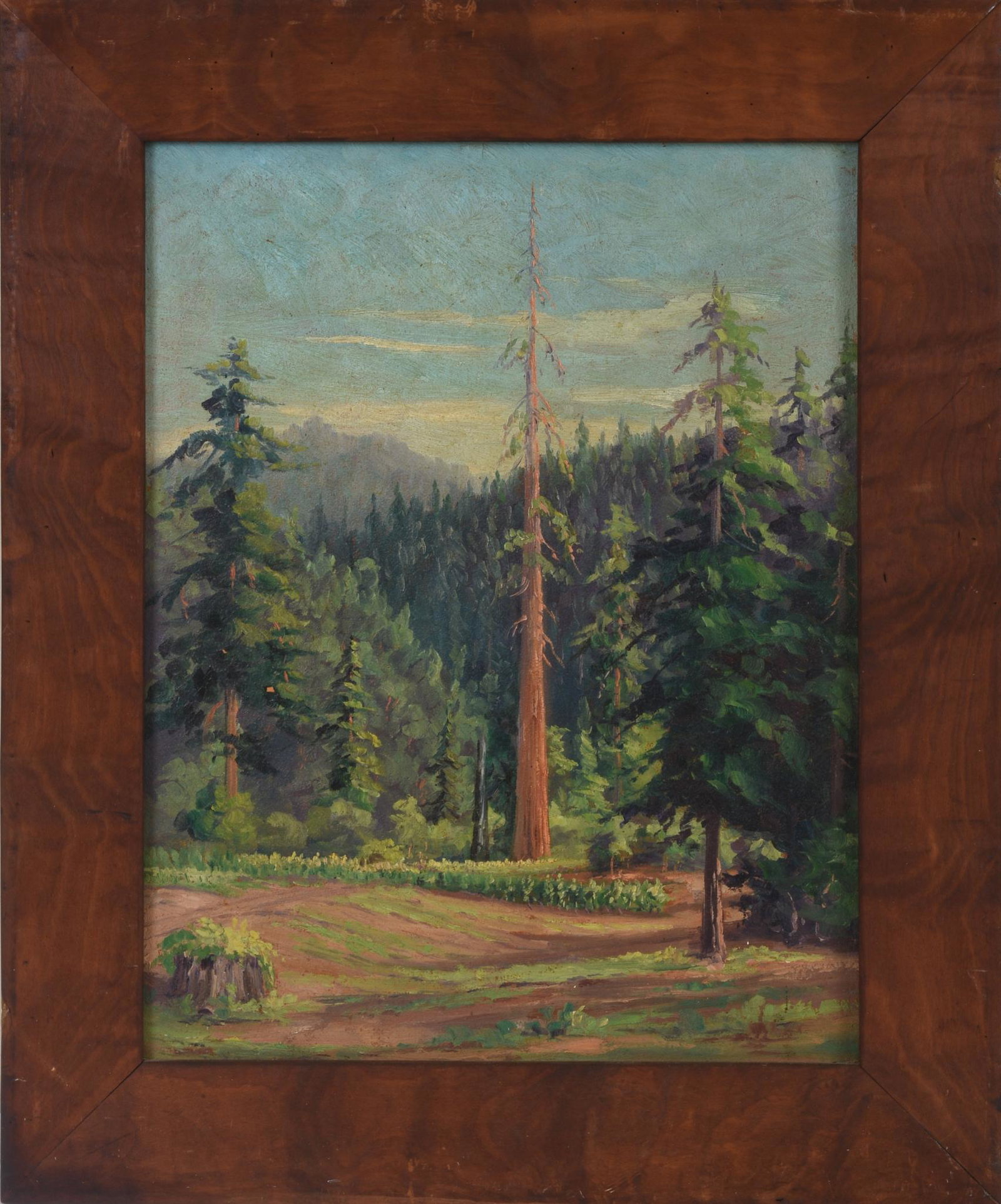 California Arts & Crafts Painting of Redwoods: Oil on board, 18 x 14 inches, early 20th c., unsigned, original mission style redwood frame.