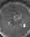 item-131376537=5