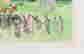 item-131376854=4