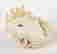 item-131376885=5