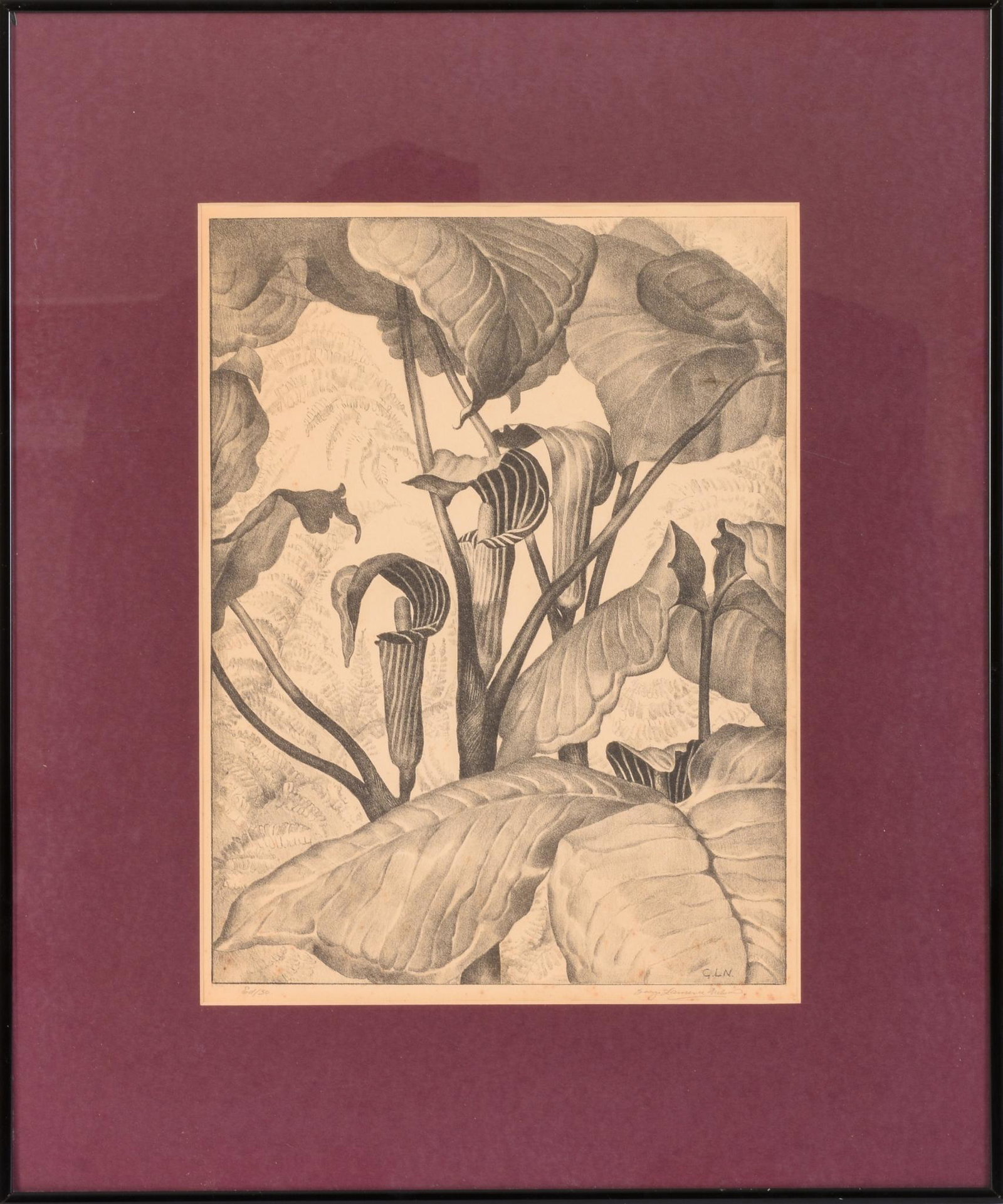 George Laurence Nelson. Jack In The Pulpit.: Lithograph on paper, image 12.375 x 9.25 inches, pencil signed, numbered edition of 30. Framed 19.5 x 16.5 inches.