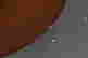 item-133478634=2