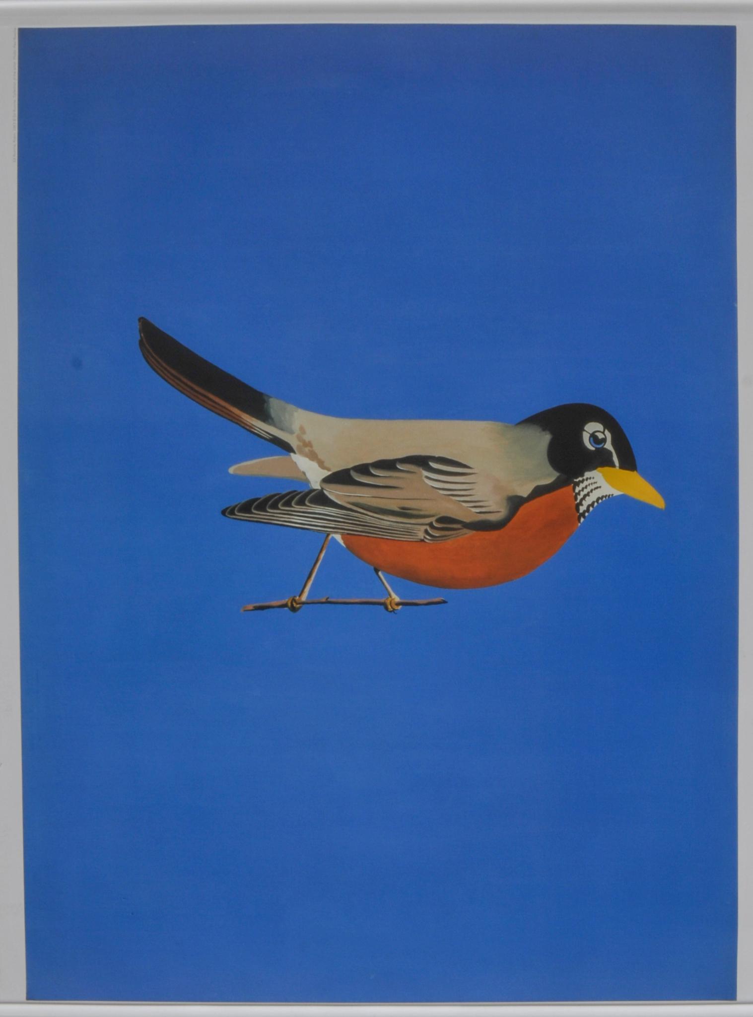 Ed Ruscha Robin Poster.: 36 x 28 inches.