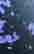 item-136512758=3