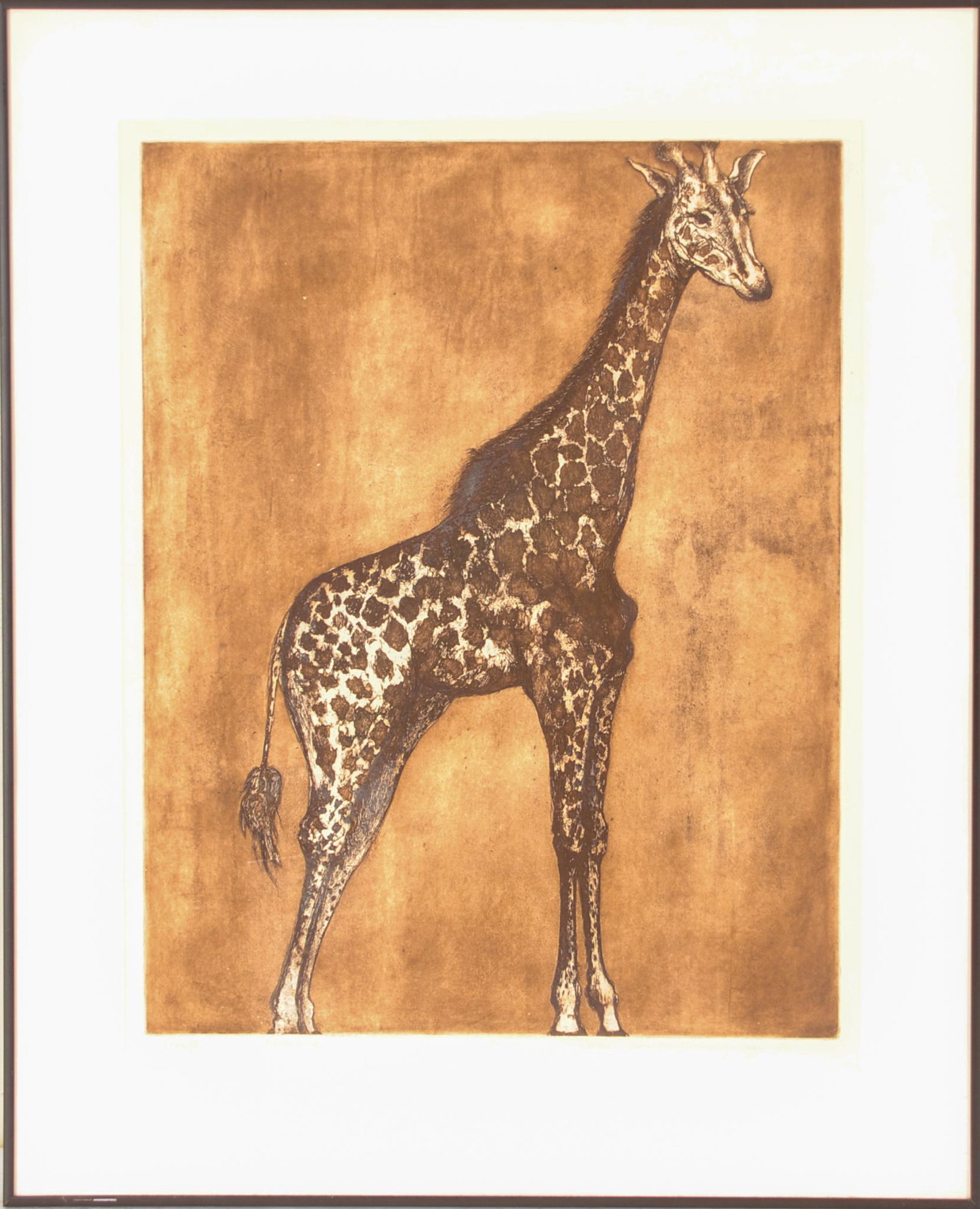 Selma Schwartz-Bromberg. Two Etchings of Animals.: Giraffe, image 22.5 x 17.5 inches, and elephant, image 12.5 x 17.5 inches. Both pencil signed, numbered and titled. Frames 31 x 25 and 23 x 27 inches.