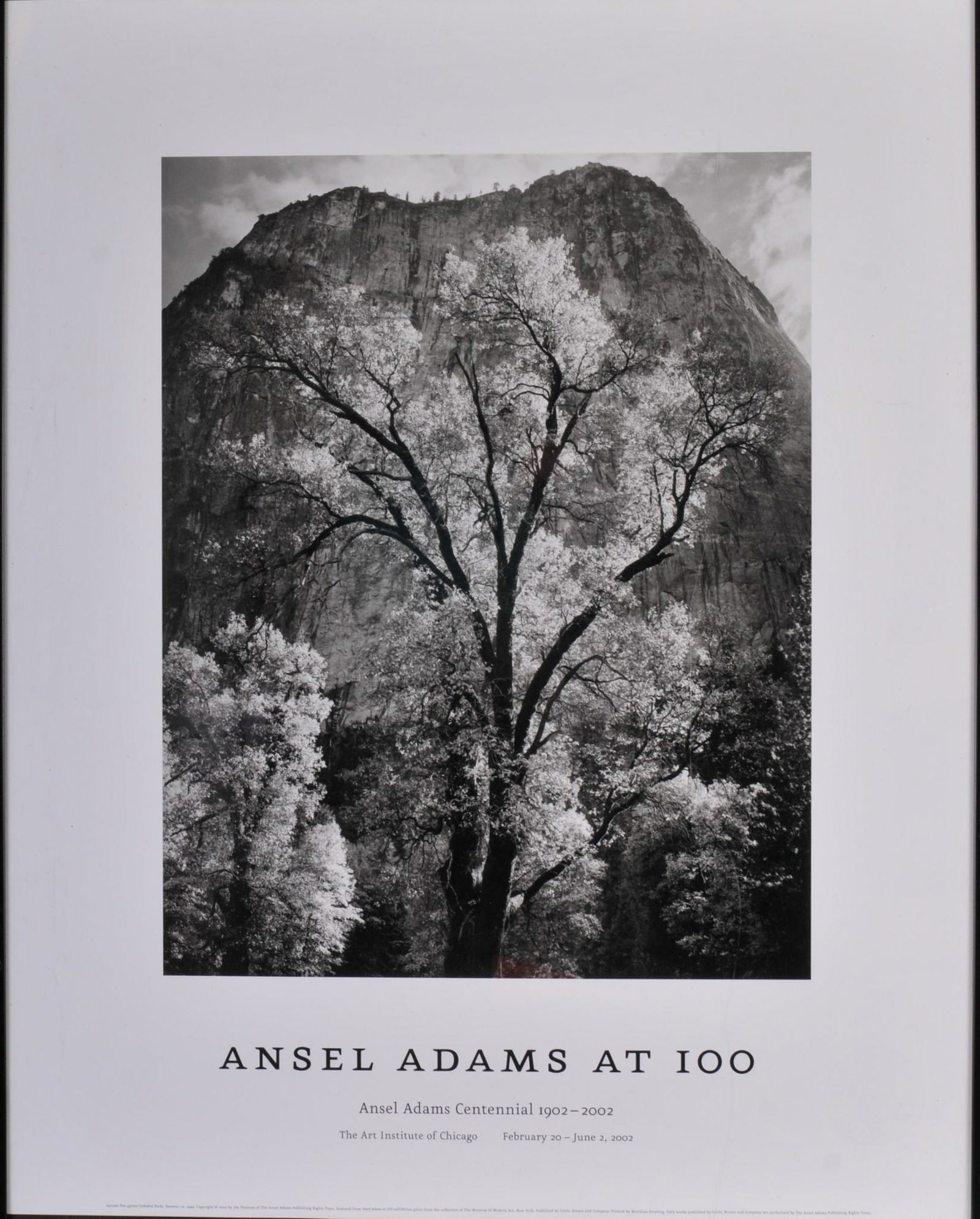 Ansel Adams at 100 Authorized Edition Poster: â€œAutumn Tree against Cathedral Rocks”, exhibition poster for Ansel Adams centennial (1902-2002), marked with large embossed AA stamp of the authorized edition from Los Angeles County Museu