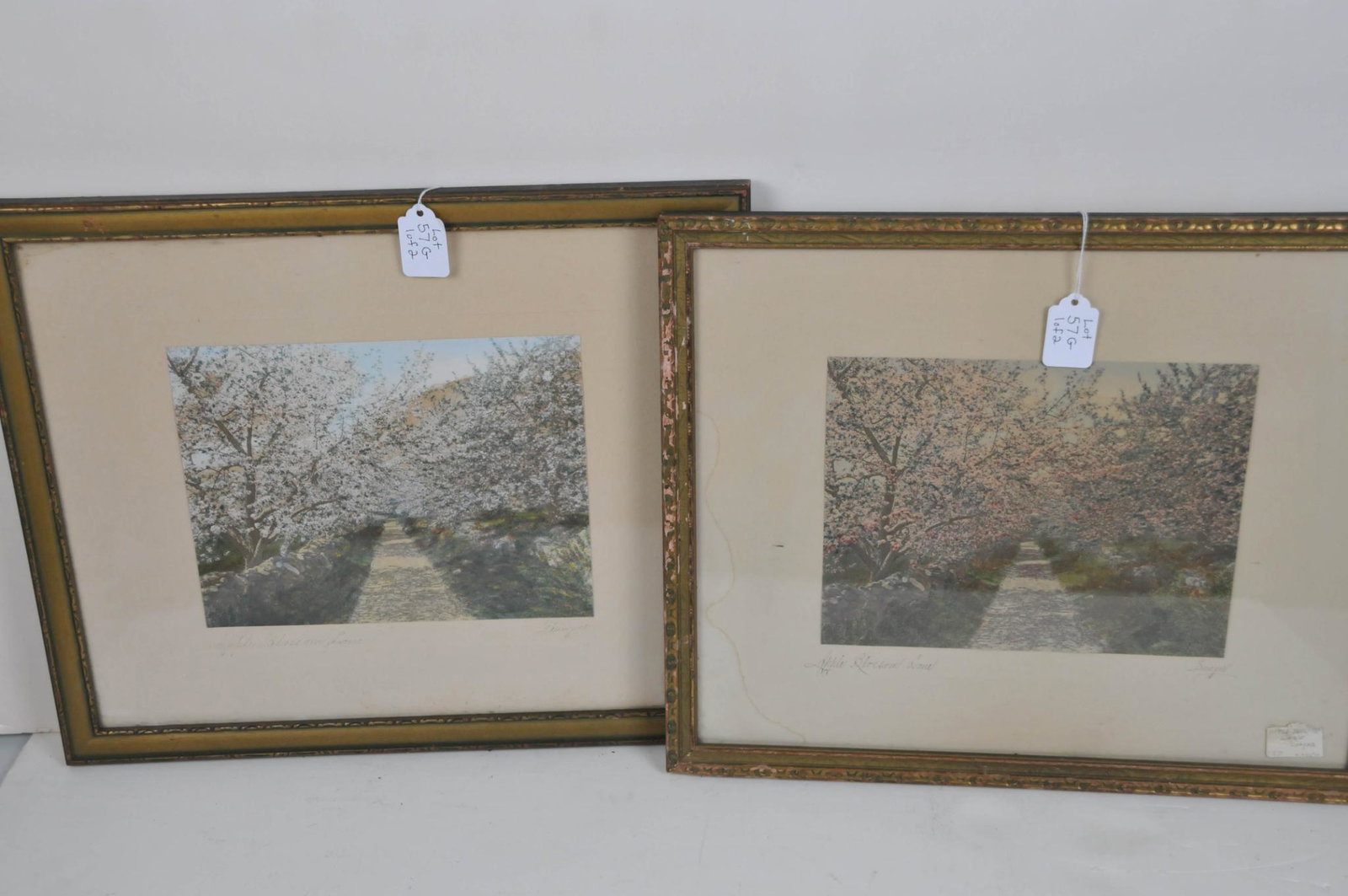 2 VINTAGE CHARLES SAWYER APPLE BLOSSOM LANE TINTED PHOTOGRAPH LOT: 17" by 14" and the other is 17 1/4" by 14 1/4". water stain to matting.