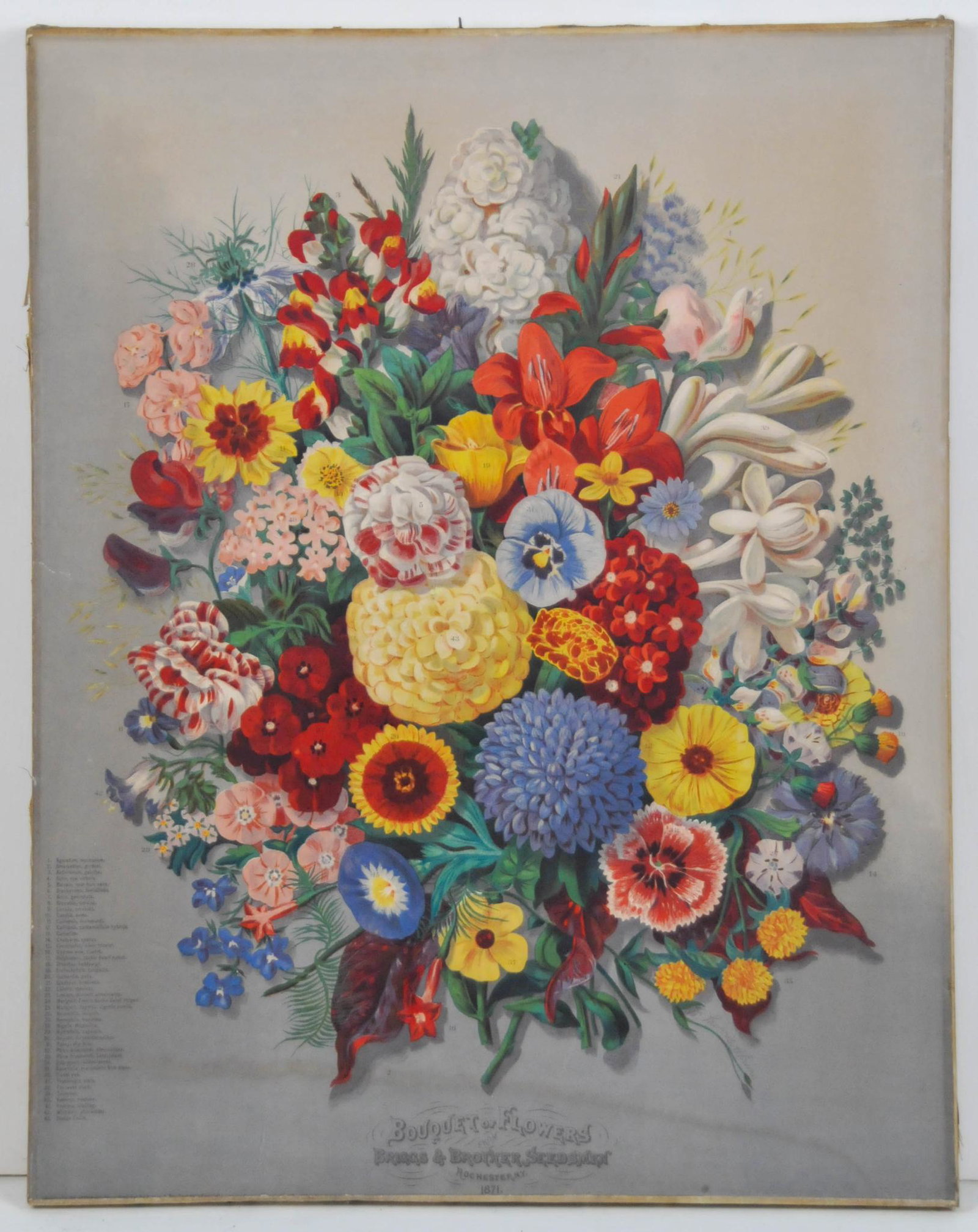 1871 ANTIQUE BRIGGS & BROTHERS SEEDSMEN BOUQUET FLOWER LITHOGRAPH PRINT: Flowers #ed and key in bottom left telling what flowers are. Creator George F Frauenberger was artist. printed by Clay Cosack & co. advertising for briggs and brothers of Rochester NY. measures 21