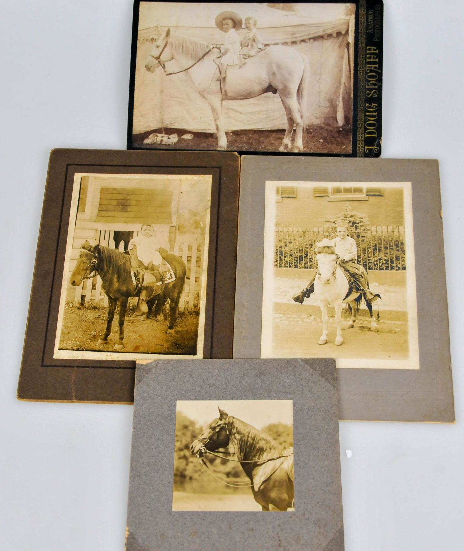 4 EARLY HORSE PHOTOGRAPH CABINET CARD LOT (1 of 5)