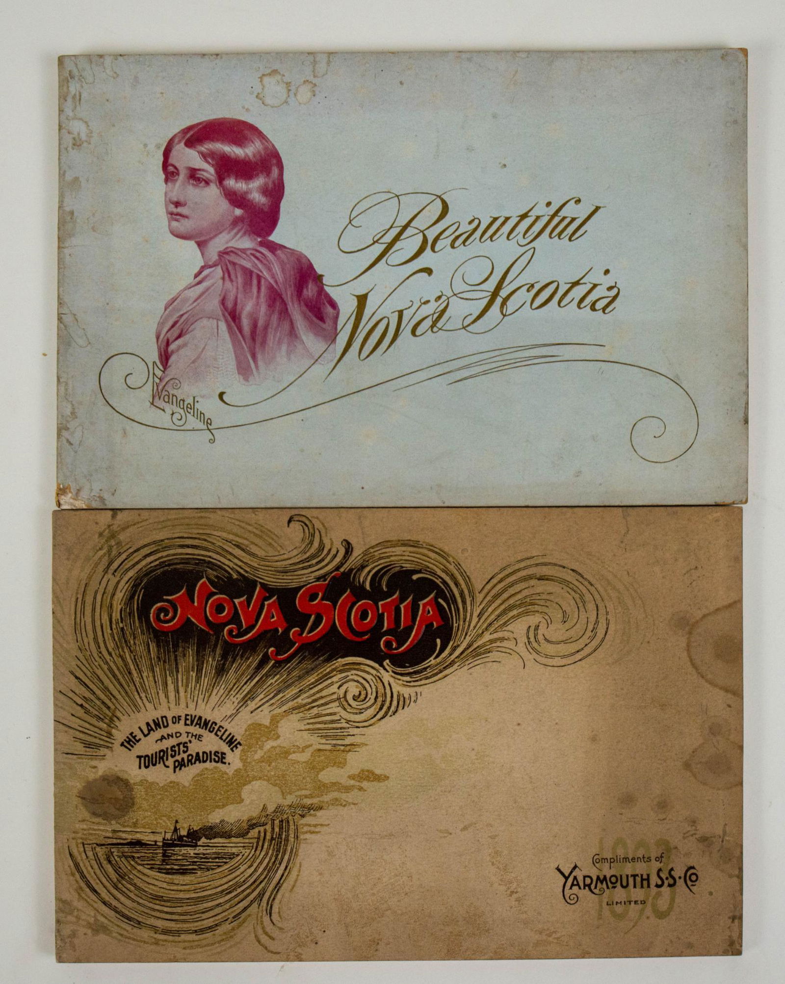 1893 1894 BEAUTIFUL NOVA SCOTIA TOURIST STEAMSHIP ADVERTISING BOOK LOT (1 of 8)