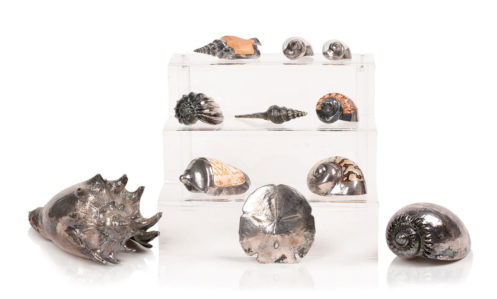 Collection of Silver Mounted Shells.: Lengths 2.25 to 9 inches, 11 pieces total.