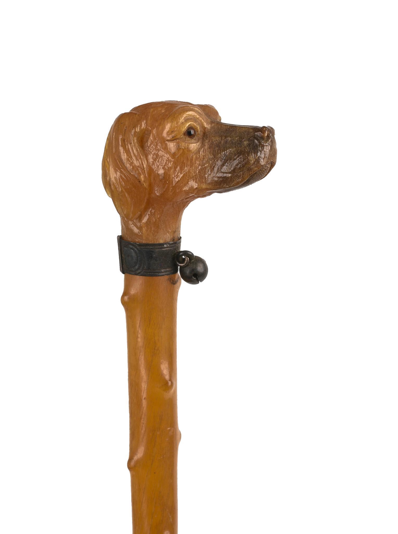 Fine Carved Horn Dog Head Childs Walking Stick. (1 of 6)