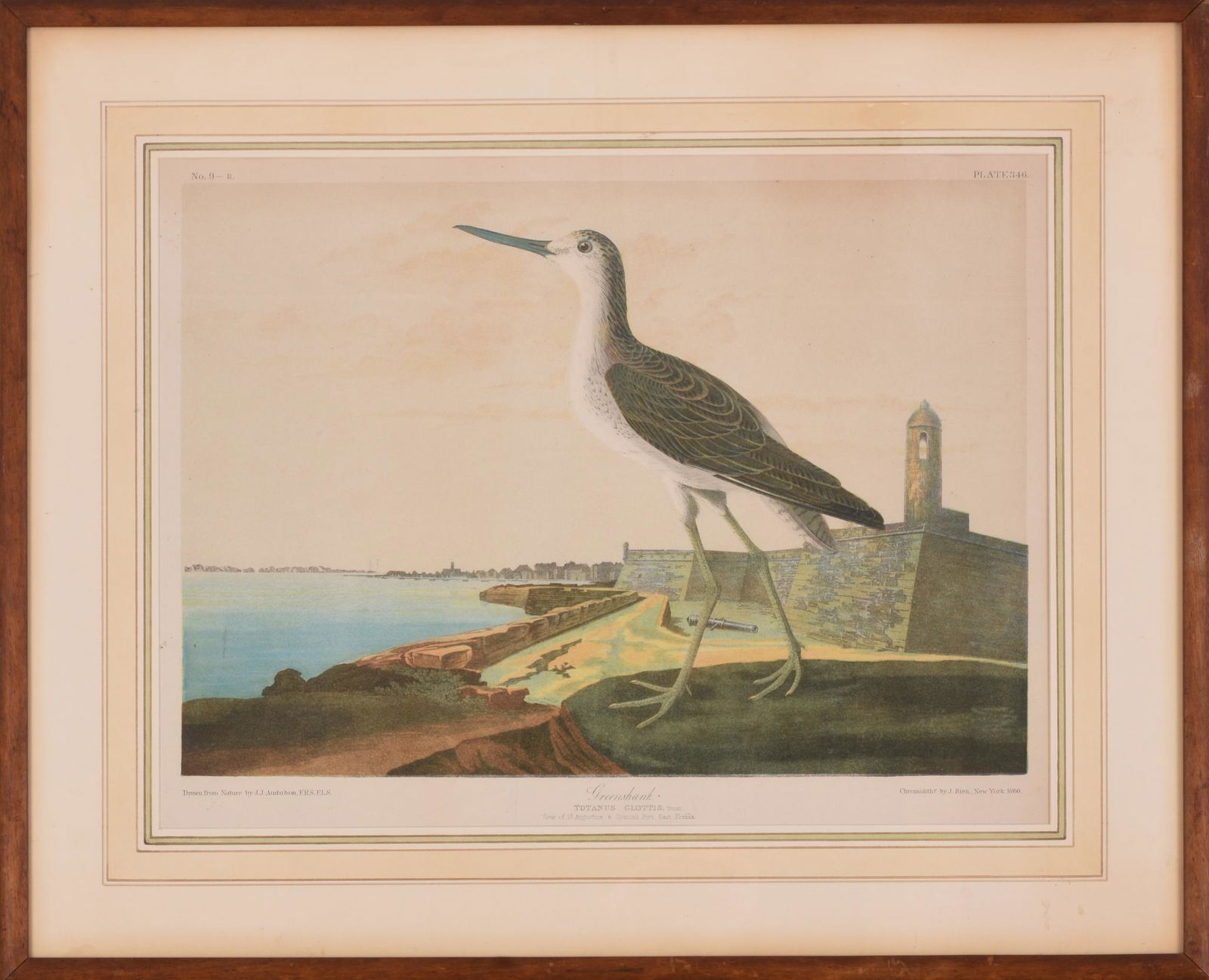 John James Audubon, Greenshanks, Bien Edition. (1 of 2)