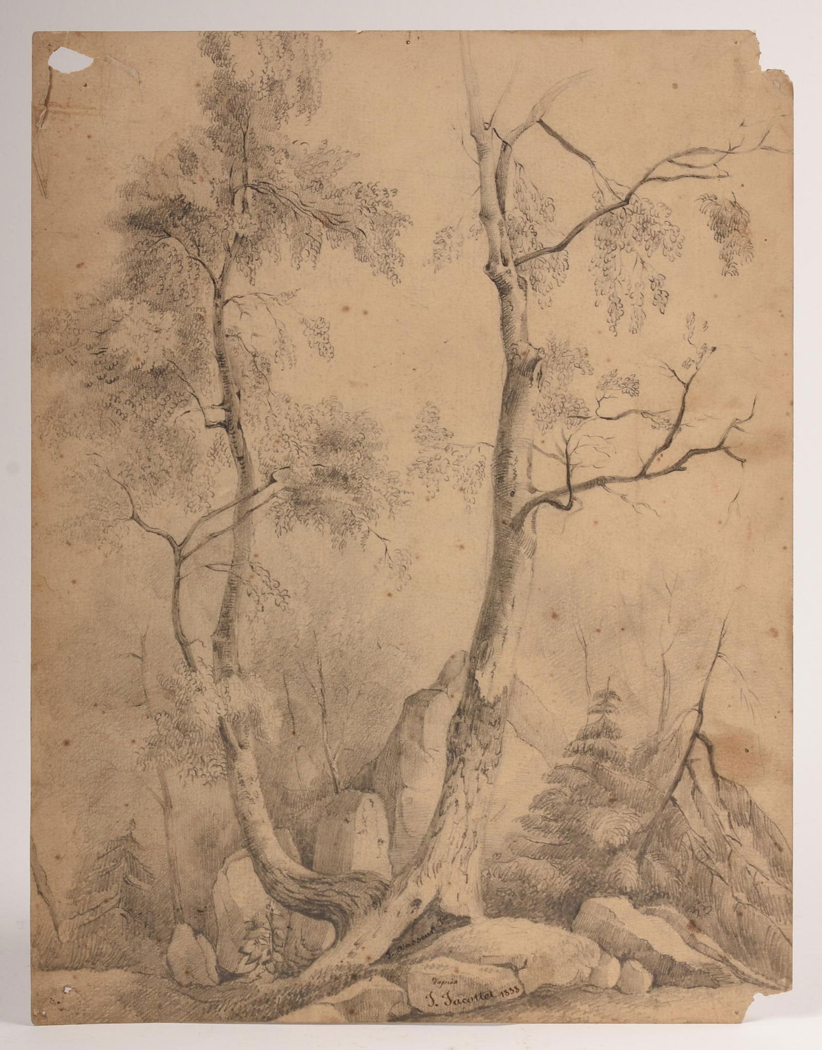 Jean Jacottet (1806-1880). Forest Sketch.: Graphite on paper, 11 x 8.25 inches, signed and dated 1838. Losses to corners.
