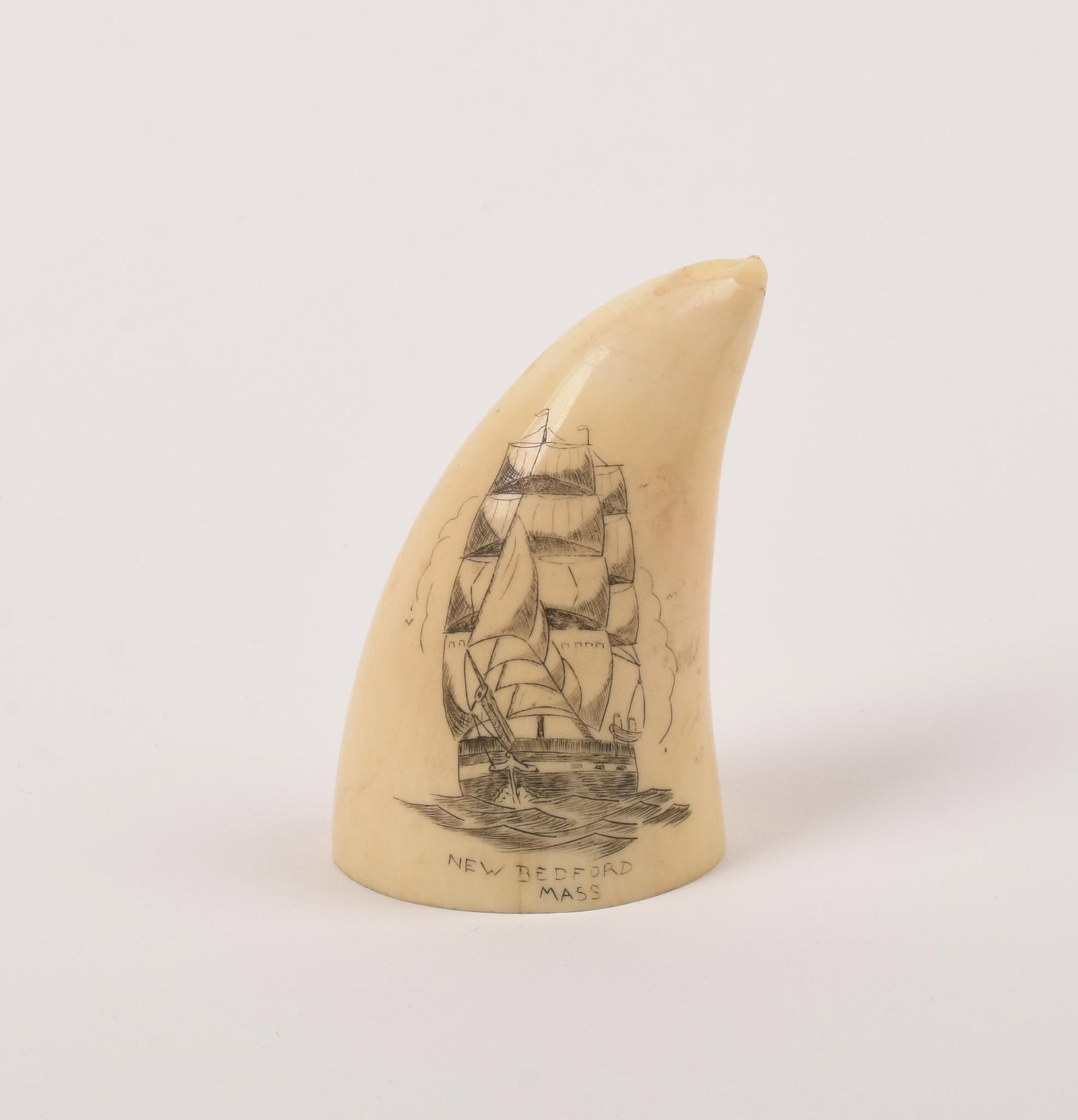 Small Scrimshawed Whale's Tooth.: New Bedford Massachusetts, height 2.5 inches. Signed James Arnold on bottom.