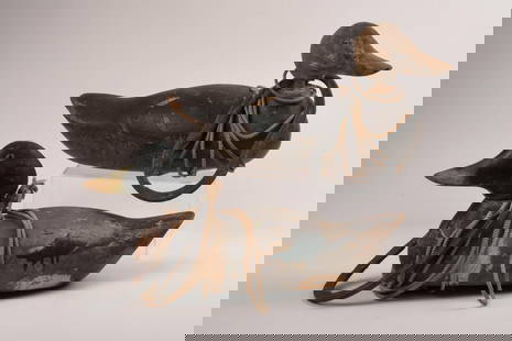 Pair of Antique Painted Working Duck Decoys.: Lengh 15 inches, with glass eyes. Losses and wear associated with use.