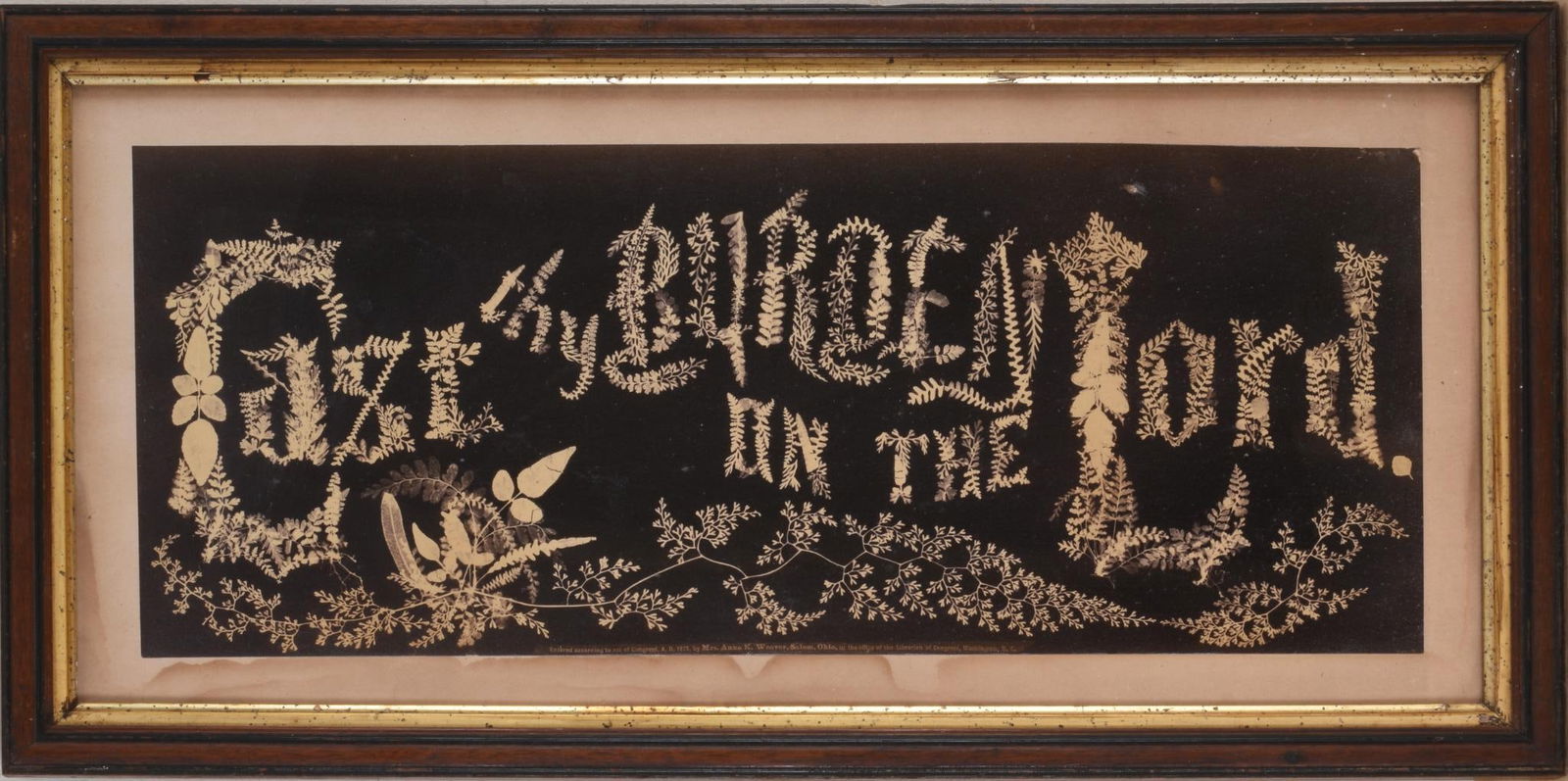 ANNA K. WEAVER FOLIAGE MOTTO PHOTOGRAM. (1 of 3)